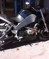 Buell xb12 scg 2009