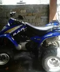 Kymko kxr 250 sports Kymko kxr 250 sports