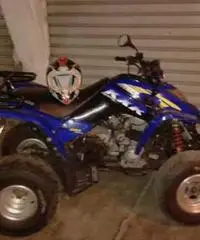 Kymko kxr 250 sports Kymko kxr 250 sports