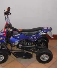 Mini quad 2013