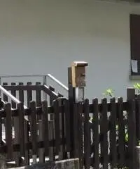 Appartamento arredato per il periodo estivo Appartamento arredato per il periodo estivo