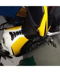 Yamaha Fz1