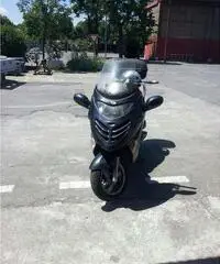 Kimco gran dink