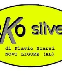 Consulenti, venditori, centraliniste Consulenti, venditori, centraliniste