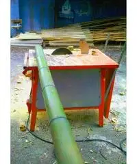 In vendita canne di bambù bambu con diametri da 1 a 10 cm. lunghezza da definire In vendita canne di bambù bambu con diametri da 1 a 10 cm. lunghezza da definire