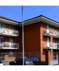 Affitto appartamenti  liberi ed uno ammobiliato diverse metrature.