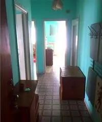 Affitto appartamenti  liberi ed uno ammobiliato diverse metrature.