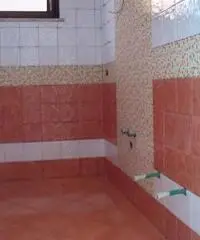 Muratore esperto Muratore esperto