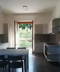 Affittasi appartamento in zona Aspio Vecchio Affittasi appartamento in zona Aspio Vecchio
