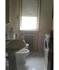 A COLORNO appartamenti e camere per studenti A COLORNO appartamenti e camere per studenti