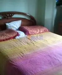 Terratetto a Porcari