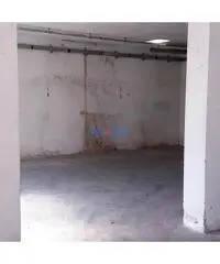 Capannone a Segromigno Capannone a Segromigno