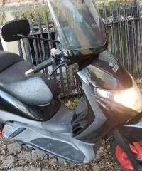 Piaggio Beverly 250 - 2004 Piaggio Beverly 250 - 2004