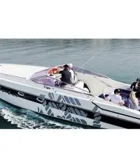 Cigala e Bertinetti Champion 41