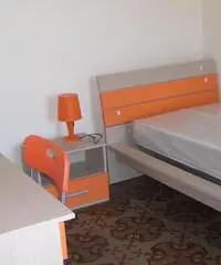 Stanza doppia in centro-economia-accademia-scienze politiche-biologia