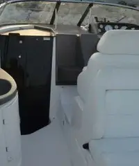 Regal 2665 + tender con motore