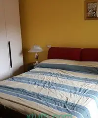 LUMINOSO TRIVANO