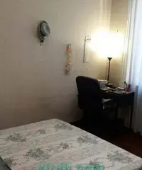 RAGAZZA LAVORATRICE PER STANZA MATRIMONIALE RAGAZZA LAVORATRICE PER STANZA MATRIMONIALE