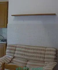 Affittasi arredato privatamente