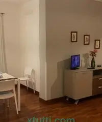 Bilocale nuovo e centrale