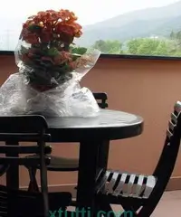 Appartamento in affitto a Lerca (GE)