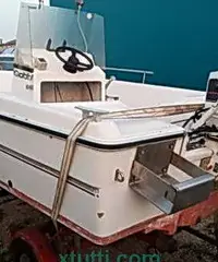 Gobbi con motore Johnson