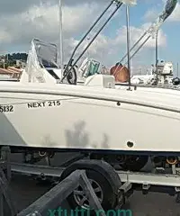 Next 215