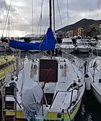 Altura A 601