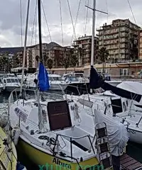 Altura A 601