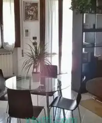 Mini a reschigliano di vigonza (pd) Mini a reschigliano di vigonza (pd)