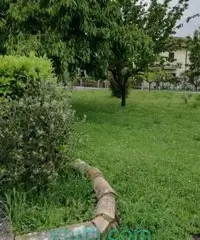 Vendesi a Sarteano-Siena villetta a schiera capotesta Vendesi a Sarteano-Siena villetta a schiera capotesta