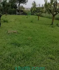 Vendesi a Sarteano-Siena villetta a schiera capotesta Vendesi a Sarteano-Siena villetta a schiera capotesta