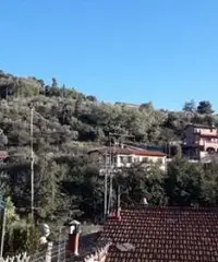 Appartamento 100mq Reggello (Fi)