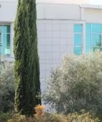 Ufficio mq 3030 Via Collatina Cod.V-241