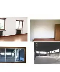 2 Capannoni artigianali, appartamento, ampio terreno