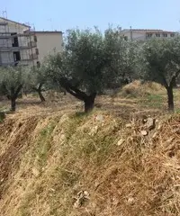 Terreno.edificabile Terreno.edificabile