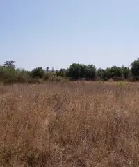 Terreno edificabile turistico/servizi