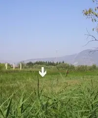 Terreno edificabile 5000mq