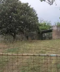 Rustico a Spacca la Canna (Guidonia)