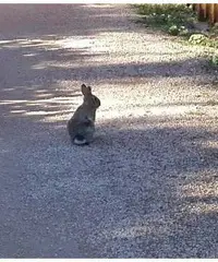 Casetta Rubbner - Gornate Olona (VA)