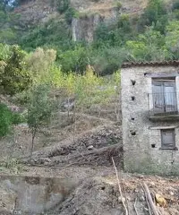 Rustico con un ettaro di terreno