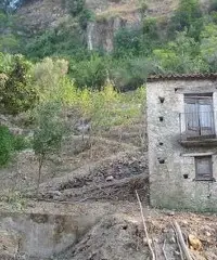 Rustico con un ettaro di terreno