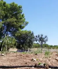 Terreno con Casale