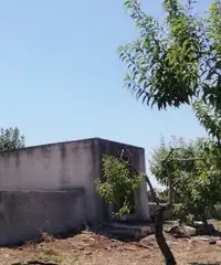 Terreno con Casale Terreno con Casale