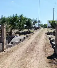 Terreno con Casale Terreno con Casale