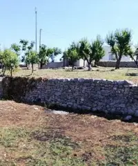 Terreno con Casale Terreno con Casale