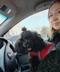 Sto cercando un uomo buono e adorabile da sposare