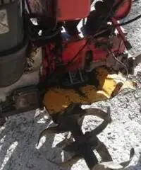 Motozappa/Motocoltivatore Lombardini diesel