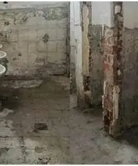 Disponibile artigiano edile Disponibile artigiano edile