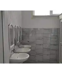 Disponibile artigiano edile Disponibile artigiano edile